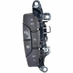 Cruise Control Switch - Standard Ignition CCA1036