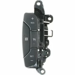 Cruise Control Switch - Standard Ignition DS-1760