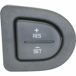 Cruise Control Switch - Standard Ignition DS-2104