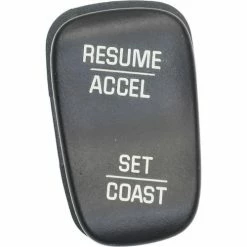 Cruise Control Switch - Standard Ignition DS-2109