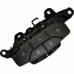 Cruise Control Switch - Standard Ignition SAS121